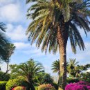 롬하우스펜션 이미지