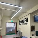 크로스핏 코알라 이미지