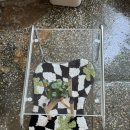 경기도 수원시 권선구 권중로7번길 18 (권선동) | 인계동 감성카페 더해주 권선동 식물카페 추천