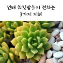 지혜아동복 이미지