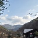 마하주