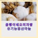 홍산농장 | 곰탱이네 오미자 팜 유기농 홍산 마늘