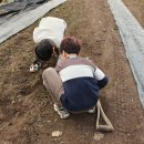 동욱농장 이미지