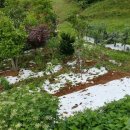 우리집펜션민박 이미지