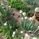 지인농장 이미지