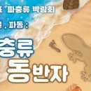 디어렙세종보람