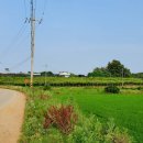 운정2리마을회관 이미지