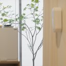 초록나무한의원 이미지