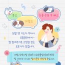 고래 동물병원 이미지