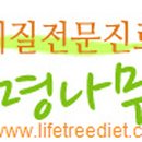 생명나무한의원 이미지