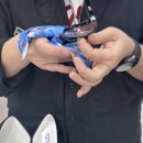 ALO안경 용산아이파크몰점 | 용산아이파크몰 알로 젠틀몬스터 KUBO 안경테 30분완성