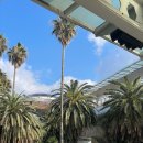 (주)뉴월드렌트카 이미지