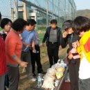 화천중학교 이미지