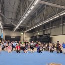 크러쉬 푸들 이미지