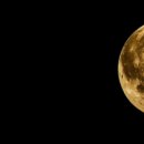 요가MOON 네이버블로그