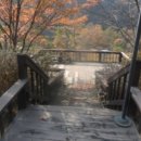 무릉도원면-1 이미지