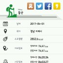 다대해수욕장 Daum카페