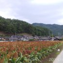 퇴계중학교 이미지