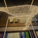 1995 햄전골 이미지