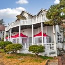 멍멍테라스 이미지