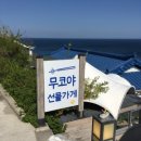 동해시-61 | ๋࣭ ⭑☁.๋࣭ ⭑강원도 묵호 1박2일 여행기행기 - 1일차 ๋࣭ ⭑☁.๋࣭ ⭑