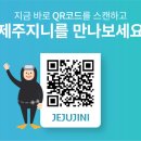 종달스테이 민박 이미지