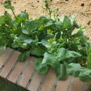 시온휴요양원 이미지