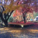 대관령솔내음오토캠핑장 이미지