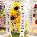 연진화분 이미지