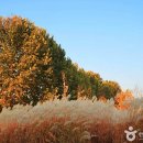 들풀농장 이미지