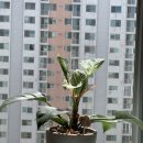 미우한의원 이미지