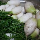 진가네농장 이미지