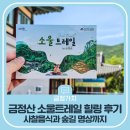 명상 첫걸음 3 마음과 몸의 힐링 | 금정산 소울트레일 힐링 프로그램 후기, 사찰음식과 숲길 명상까지