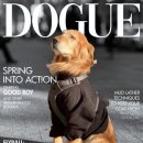도그(DOGUE) 이미지