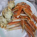 총각대게 | 부산 기장 대게 맛집 총각대게 내돈내산 후기