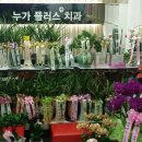 플러스치과