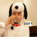 버거아일랜드 이미지