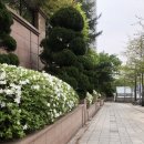 레미안퍼스티지 101동 앞 이미지