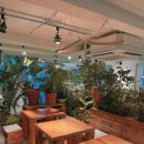 [합정 카페]합정 데이트 추천 식물카페 어반플랜트 후기🌿
