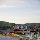 갑동숯불민물장어 이미지