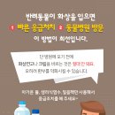 장판24시