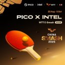 (주)피코차이나 이미지