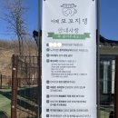 서울애견 | 서울 근교 남양주 애견카페 &lt;모꼬지댕&gt; 솔직후기