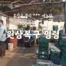 운암리농장 이미지
