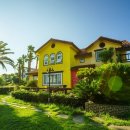 라임민박 이미지