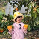 꿈내리어린이집 이미지