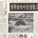 (주)대룡건설 네이버블로그