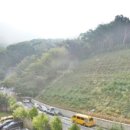 구포3동-12 이미지