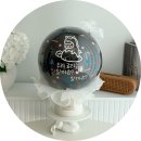 백신경외과~주공6차 | (임신기록)10주~13주차_대전 성심당,1차기형아검사,젠더리빌
