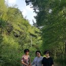 송산골산장